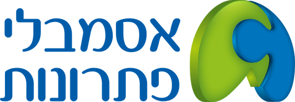 אסמבלי פתרונות